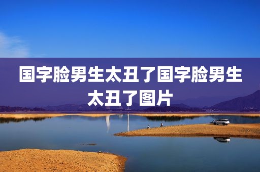 国字脸男生太丑了国字脸男生太丑了图片