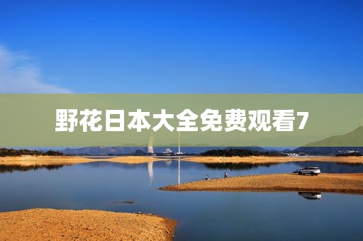 野花日本大全免费观看7