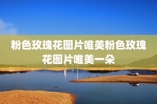 粉色玫瑰花图片唯美粉色玫瑰花图片唯美一朵
