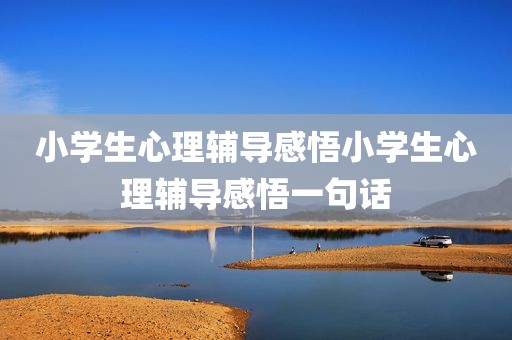 小学生心理辅导感悟小学生心理辅导感悟一句话