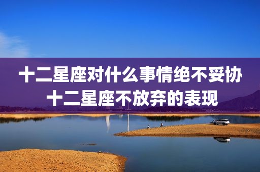 十二星座对什么事情绝不妥协 十二星座不放弃的表现