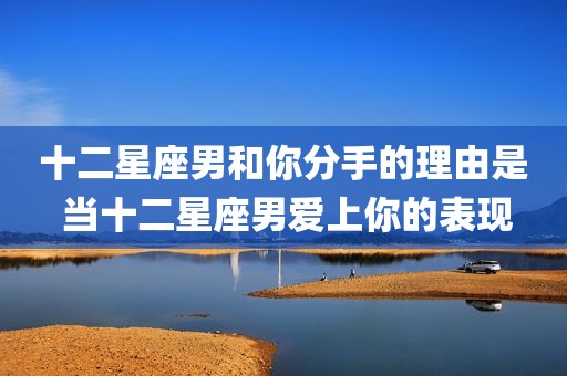 十二星座男和你分手的理由是 当十二星座男爱上你的表现