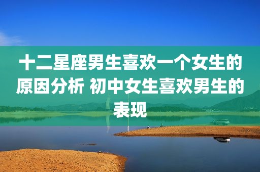 十二星座男生喜欢一个女生的原因分析 初中女生喜欢男生的表现