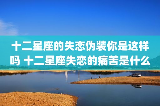 十二星座的失恋伪装你是这样吗 十二星座失恋的痛苦是什么