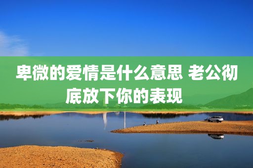 卑微的爱情是什么意思 老公彻底放下你的表现 