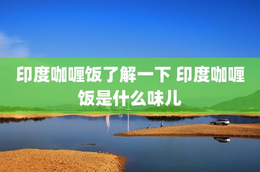 印度咖喱饭了解一下 印度咖喱饭是什么味儿