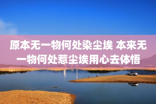 原本无一物何处染尘埃 本来无一物何处惹尘埃用心去体悟