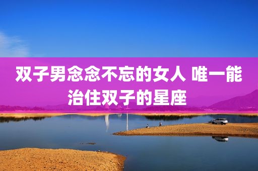 双子男念念不忘的女人 唯一能治住双子的星座 