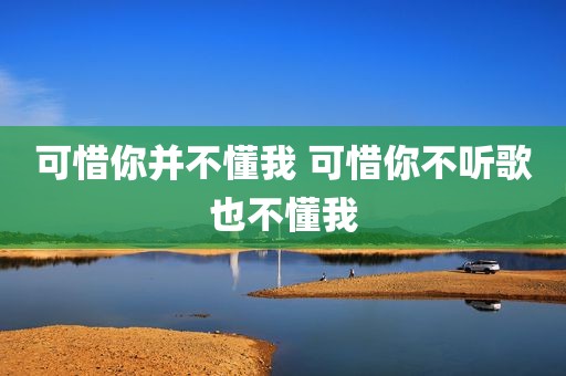 可惜你并不懂我 可惜你不听歌也不懂我