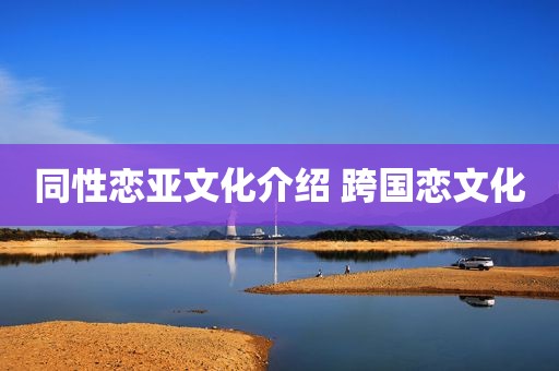 同性恋亚文化介绍 跨国恋文化