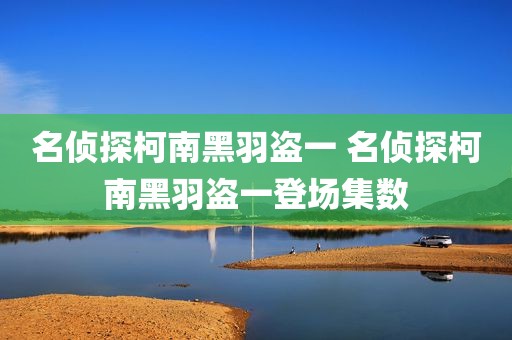 名侦探柯南黑羽盗一 名侦探柯南黑羽盗一登场集数