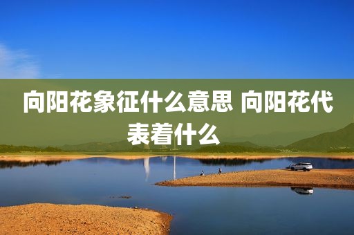 向阳花象征什么意思 向阳花代表着什么 