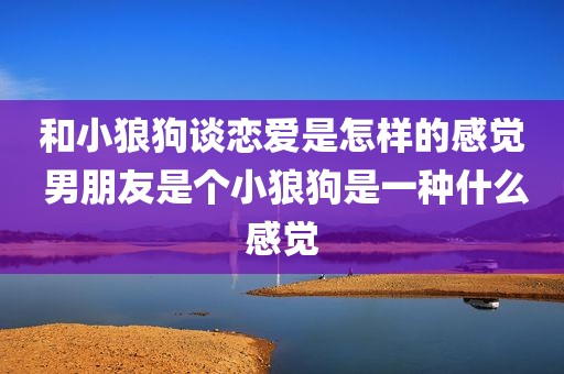 和小狼狗谈恋爱是怎样的感觉 男朋友是个小狼狗是一种什么感觉