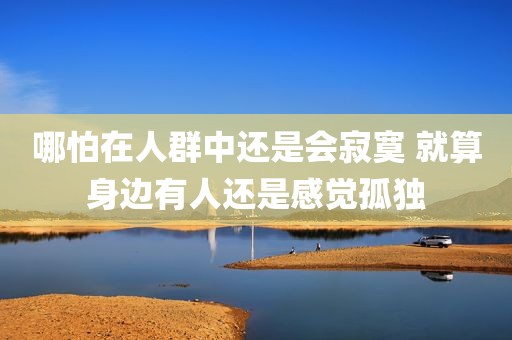 哪怕在人群中还是会寂寞 就算身边有人还是感觉孤独