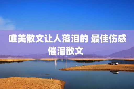 唯美散文让人落泪的 最佳伤感催泪散文 