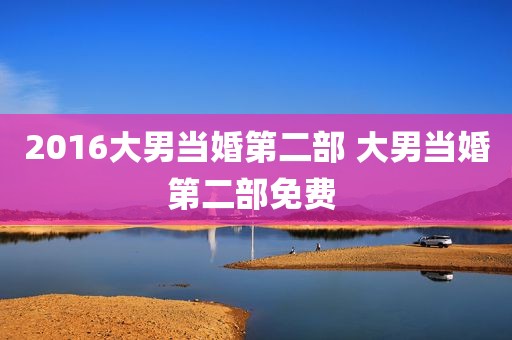 2016大男当婚第二部 大男当婚第二部免费 