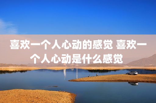 喜欢一个人心动的感觉 喜欢一个人心动是什么感觉 