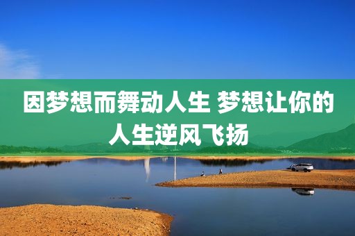 因梦想而舞动人生 梦想让你的人生逆风飞扬