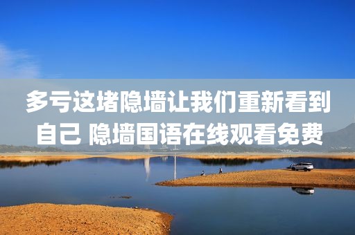 多亏这堵隐墙让我们重新看到自己 隐墙国语在线观看免费