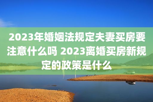 2023年婚姻法规定夫妻买房要注意什么吗 2023离婚买房新规定的政策是什么