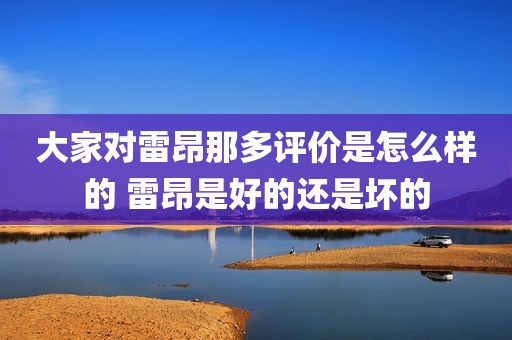 大家对雷昂那多评价是怎么样的 雷昂是好的还是坏的