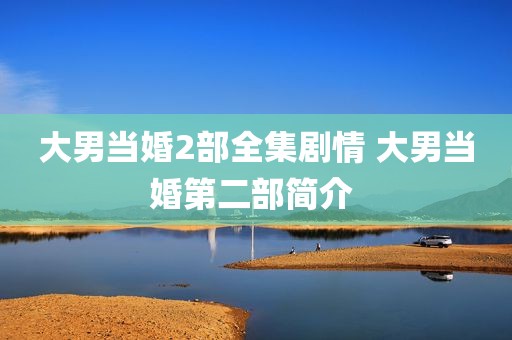 大男当婚2部全集剧情 大男当婚第二部简介 