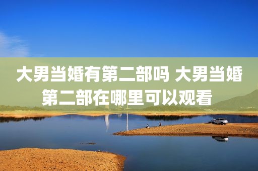 大男当婚有第二部吗 大男当婚第二部在哪里可以观看 