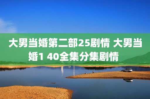 大男当婚第二部25剧情 大男当婚1 40全集分集剧情 