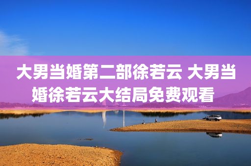 大男当婚第二部徐若云 大男当婚徐若云大结局免费观看 