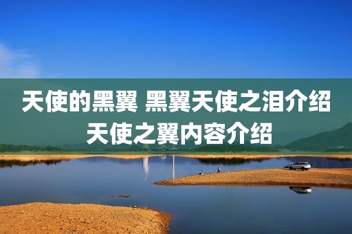天使的黑翼 黑翼天使之泪介绍 天使之翼内容介绍