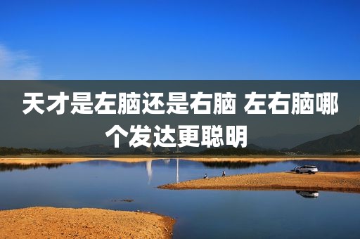 天才是左脑还是右脑 左右脑哪个发达更聪明 