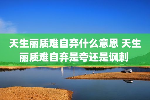 天生丽质难自弃什么意思 天生丽质难自弃是夸还是讽刺 