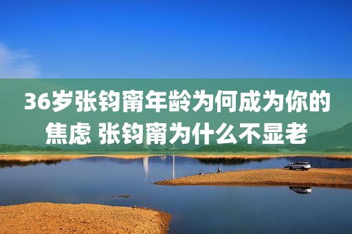 36岁张钧甯年龄为何成为你的焦虑 张钧甯为什么不显老