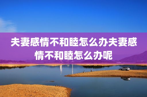 夫妻感情不和睦怎么办夫妻感情不和睦怎么办呢