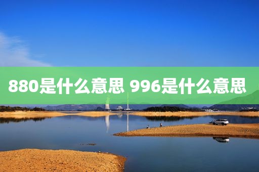 880是什么意思 996是什么意思 