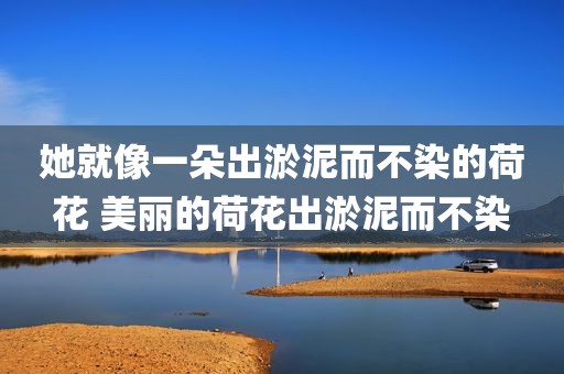 她就像一朵出淤泥而不染的荷花 美丽的荷花出淤泥而不染
