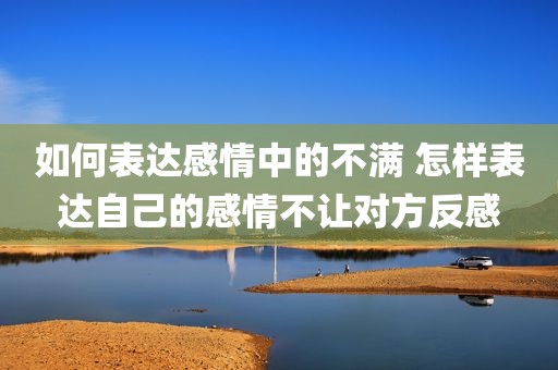 如何表达感情中的不满 怎样表达自己的感情不让对方反感