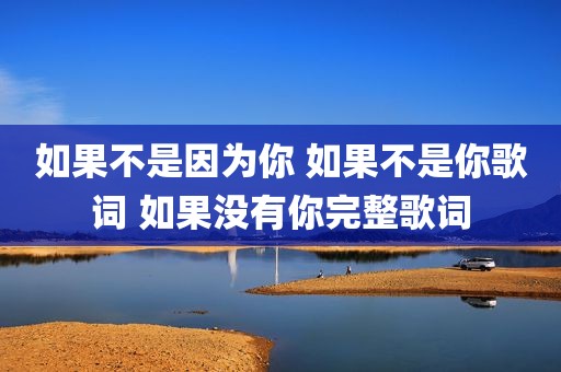 如果不是因为你 如果不是你歌词 如果没有你完整歌词