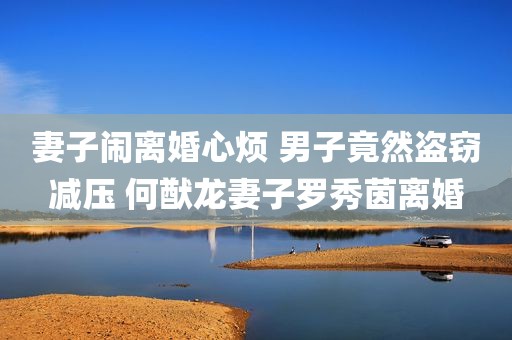 妻子闹离婚心烦 男子竟然盗窃减压 何猷龙妻子罗秀茵离婚