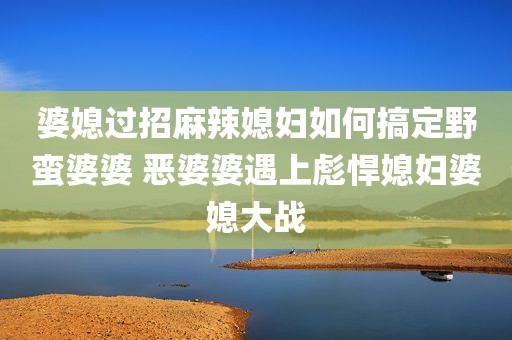 婆媳过招麻辣媳妇如何搞定野蛮婆婆 恶婆婆遇上彪悍媳妇婆媳大战