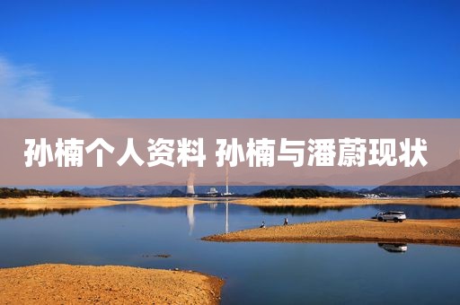 孙楠个人资料 孙楠与潘蔚现状 