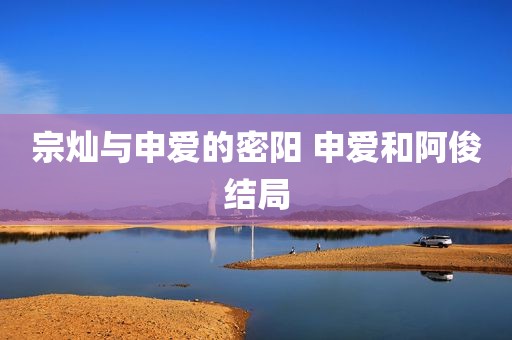宗灿与申爱的密阳 申爱和阿俊结局