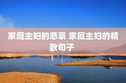 家庭主妇的悲哀 家庭主妇的精致句子 