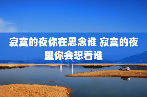寂寞的夜你在思念谁 寂寞的夜里你会想着谁
