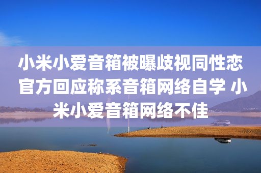 小米小爱音箱被曝歧视同性恋 官方回应称系音箱网络自学 小米小爱音箱网络不佳