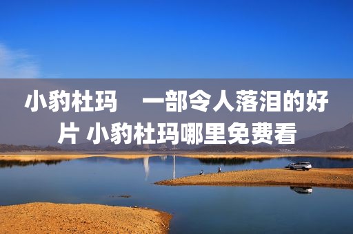 小豹杜玛　一部令人落泪的好片 小豹杜玛哪里免费看