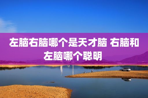 左脑右脑哪个是天才脑 右脑和左脑哪个聪明 