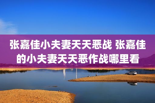 张嘉佳小夫妻天天恶战 张嘉佳的小夫妻天天恶作战哪里看
