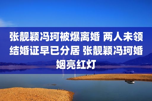 张靓颖冯珂被爆离婚 两人未领结婚证早已分居 张靓颖冯珂婚姻亮红灯