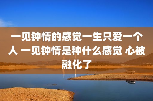 一见钟情的感觉一生只爱一个人 一见钟情是种什么感觉 心被融化了